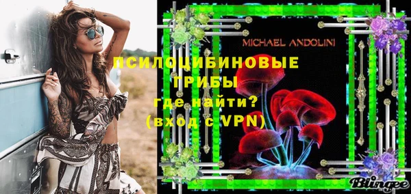 винт Наволоки