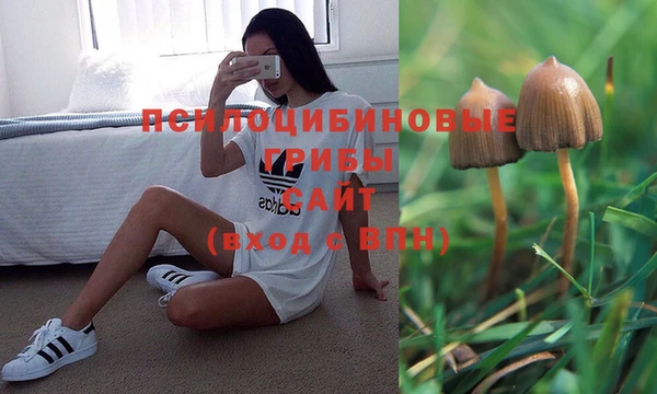 стафф Нефтекумск