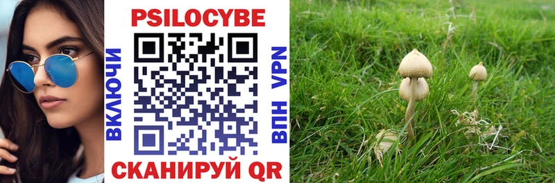 blacksprut tor  Барнаул  Галлюциногенные грибы мицелий 