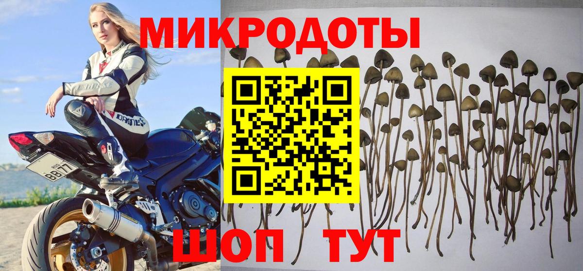Галлюциногенные грибы MAGIC MUSHROOMS Барнаул