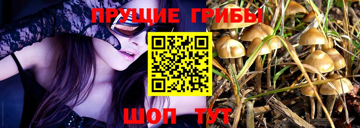 Галлюциногенные грибы Cubensis  что такое наркотик  Вход с VPN  Барнаул  Галлюциногенные грибы Magic Shrooms 