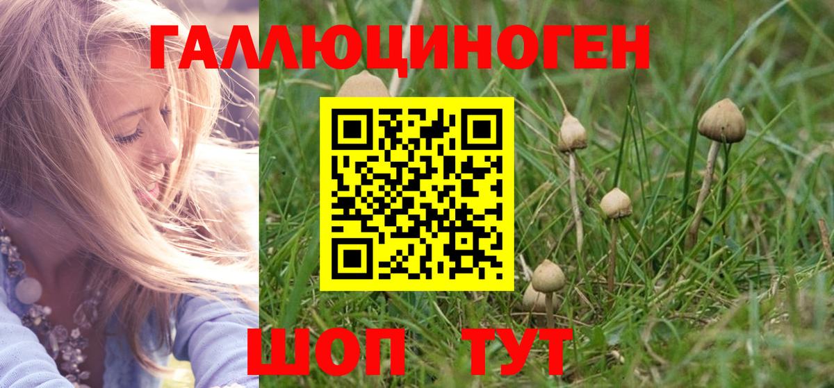 Меф кристаллы  Кокаин  Марихуана  Вход с VPN  NBOMe  Барнаул  ГАШИШ  ГАШ 