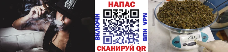 Каннабис SATIVA & INDICA Барнаул